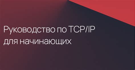 Руководство по стеку протоколов TCP/IP для начинающих - Блог компании ...