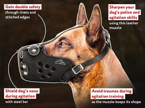 belgian malinois police muzzle