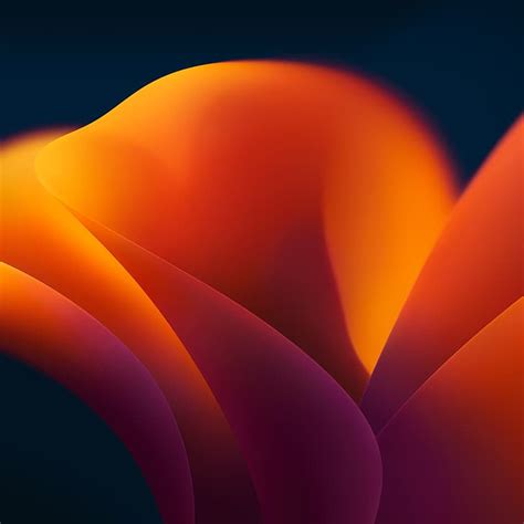 Mac Os X Macos Ventura Colorful Orange Background Flowers Blossoms