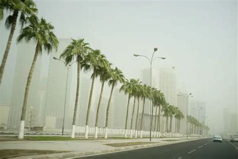 Best time to visit Qatar - Qatar Climate & Temperature