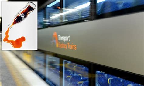 Commuter Sees Woman Masturbating On Train Receives Oral Sex Daily Mail Online