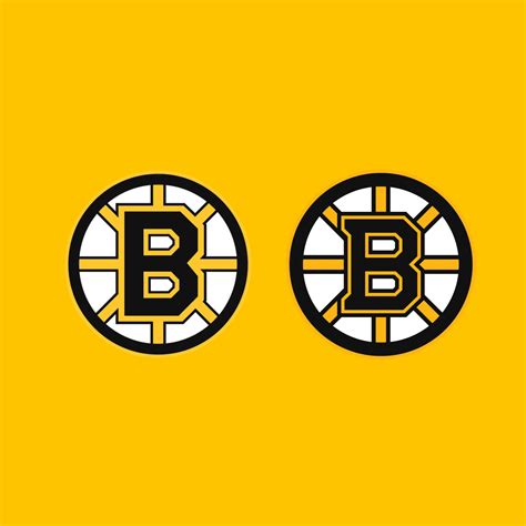 chicago bruins logo nhl winter classic logo primary logo national
