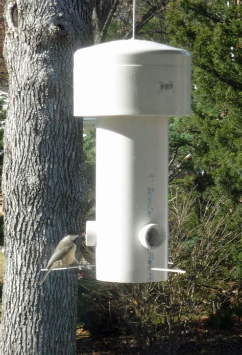 How to Build Wooden Squirrel Proof Bird Feeder Plans PDF Plans