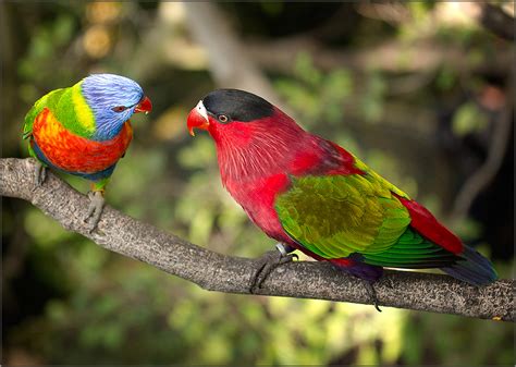 Photo Randevous by Sergey Balanov - nature, travel - PhotoForum.ru