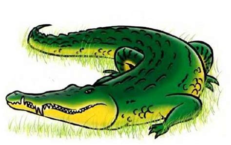 Злой Крокодил - картинка №13111 | Printonic.ru