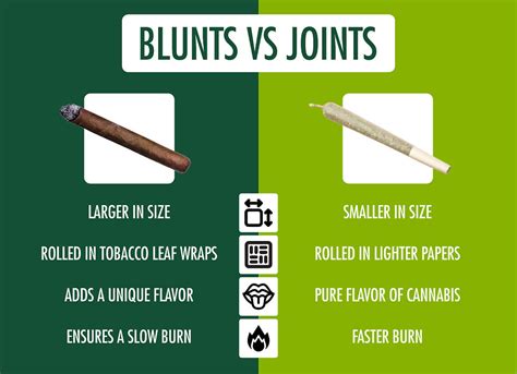 Blunt vs Joint Comparison Guide: What’s the Difference?