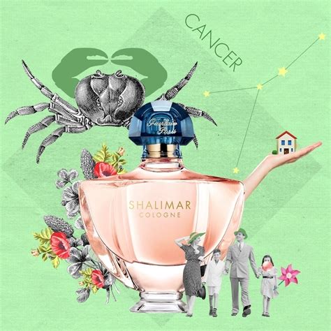 Zodiac Perfume Astrology Aromatherapy And Zodiac Fragrance Oils