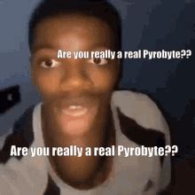 pyrobyte pyrobyte  gif pyrobyte pyrobyte  discover share gifs