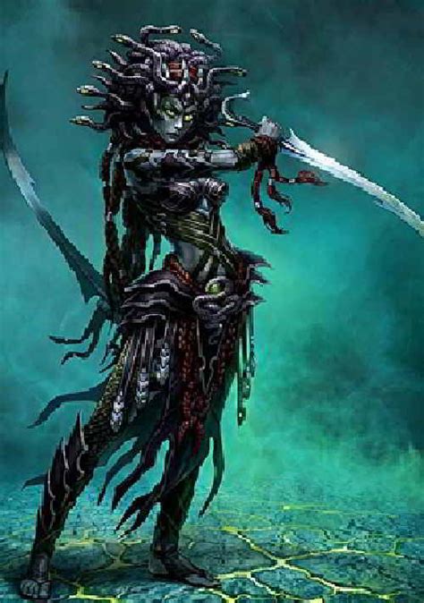 Медуза горгона | ЗООМИР