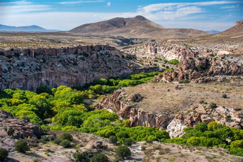 Once A Rich Desert River The Gila Struggles To Keep Flowing Yale E360