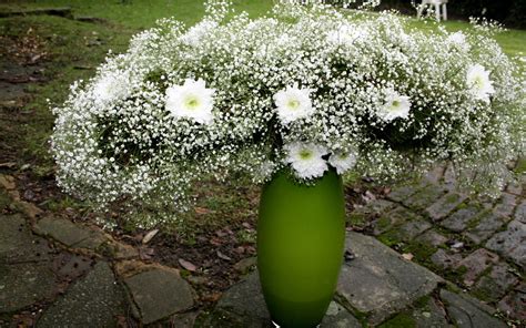 Гипсофила в ландшафтном дизайне (70 фото) » НА ДАЧЕ ФОТО