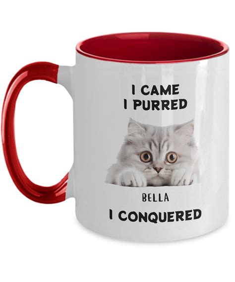 Custom Kitten Mug Gift For Cat Mom Gift For Cat Lover Pussy Cat Mug House Cat Mug I Came I