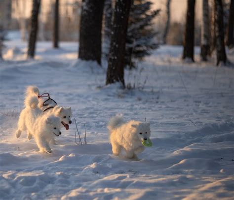 Услуги Гостиничного комплекса «Ямская слобода» Тверская область д ...