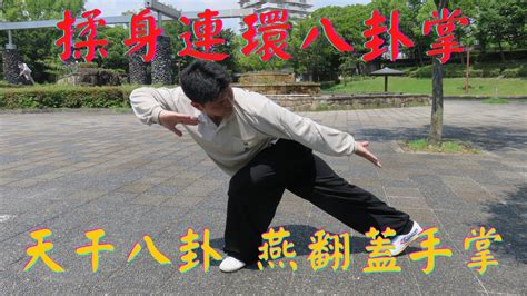 Tianganbagua Yanfangaishouzhang Gao Syle Baguazhang