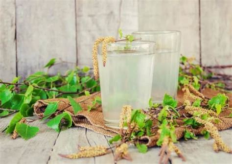 Березовый сок🌿: польза и вред, противопоказания, прием при различных ...