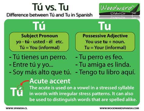 Tú Vs Tu Difference In Spanish