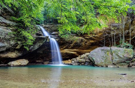 Wallpaper trees Hocking Hills State Park Ohio - free pictures on Fonwall