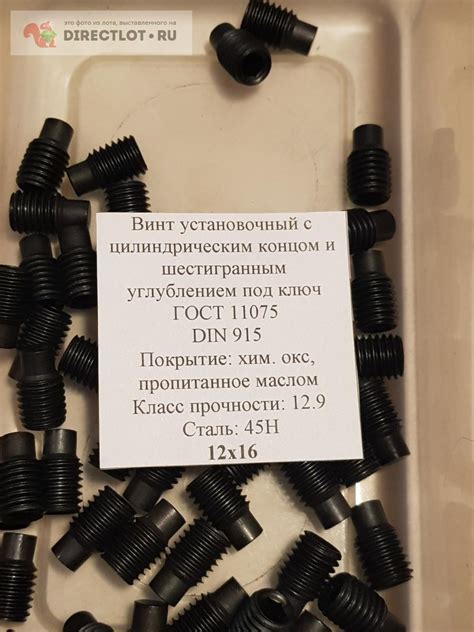 Винт установочный (стопорный) с цапфой под шестигранник М12х16 DIN 915 ...