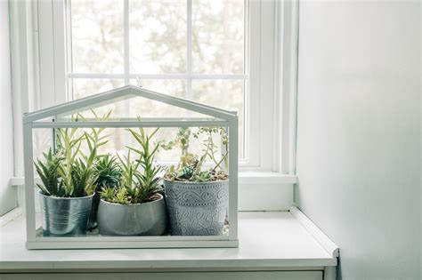 What It Means To Have Low Humidity In Your House