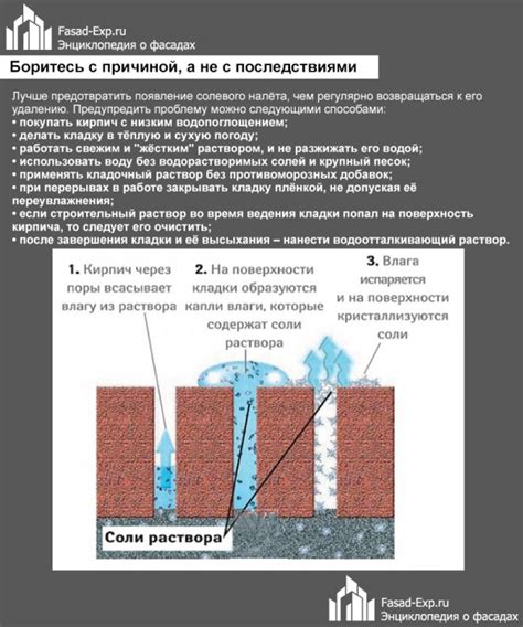 Высолы на кирпиче - что это, причины и способы устранения
