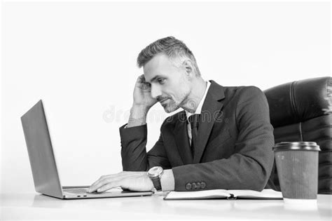 Attentive Mature Businessman Working In Office With Laptop Stock Image Image Of Busy