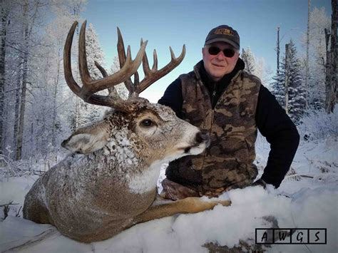 Alberta Wilderness Guide Service - Fair chase Moose, and Deer hunting