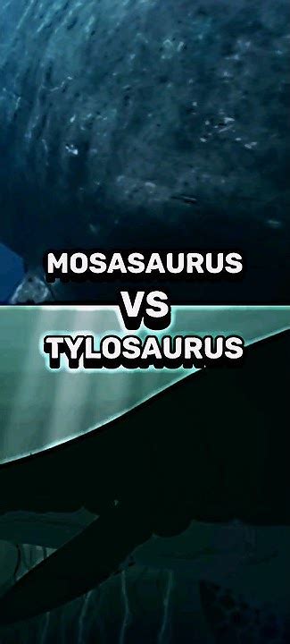 Mosasaurus Vs Tylosaurus Prehistoricplanet Mosasaurus Youtube