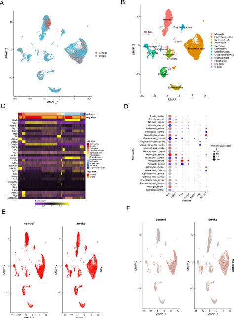 Figure 1 From Identification Of Disulfidptosis Related Genes And