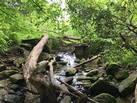 extra_large_5ce1b2594fc4a6a06cb0b0d2f7a9a407 – Best Hikes in Philadelphia