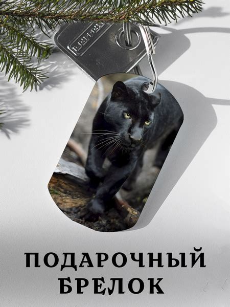 Брелок для ключей с принтом Пантера, подарок мужчине на День рождения ...