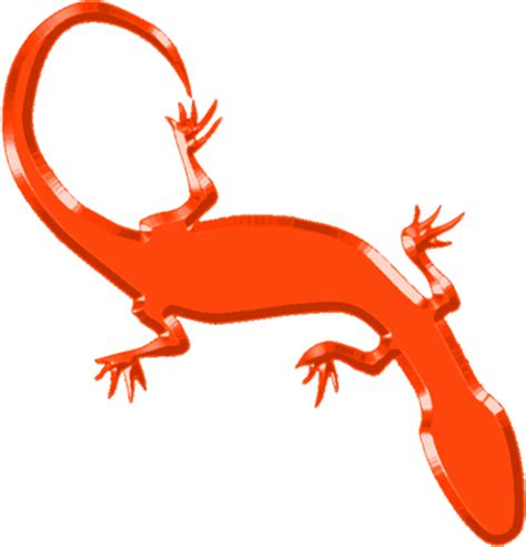 Gecko 3 PNG by clipartcotttage on DeviantArt