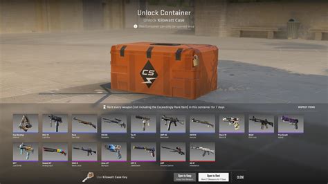 Renting Skins in Counter-Strike 2: A New Era of Customization