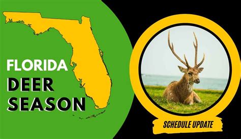 Florida Deer Season 2024 Latest Hunting Schedules Regulations And Bag