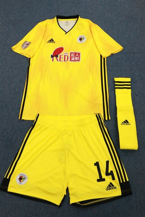 Tsw Pegasus 2020 21 Home Kit