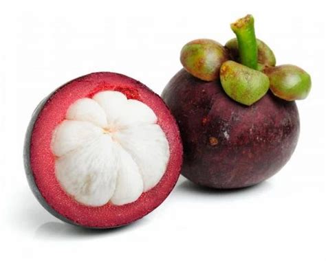 Purple Mangosteen at best price in Coimbatore by Multi Technologies ...