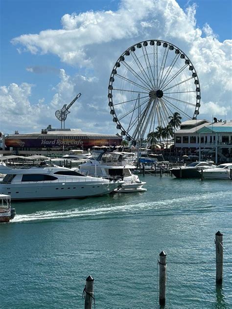 Commuting in Miami, The 305. I live where you vacation. | by Otera | Medium