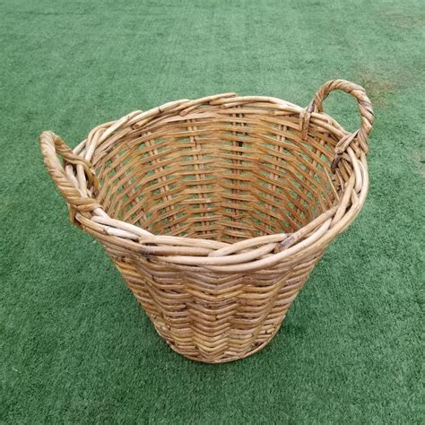 Pohon Rotan