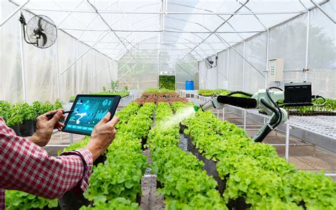 5 Macam Teknologi IoT dalam Bidang Pertanian - Berkebun 