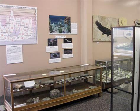 Geology Museum Department Of Geology Geology Museum Utah State University