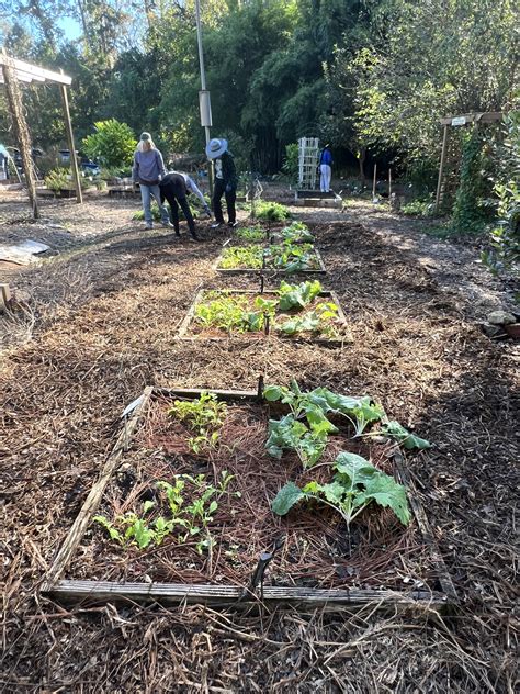 VegHeadz: Water Management during Drought Periods