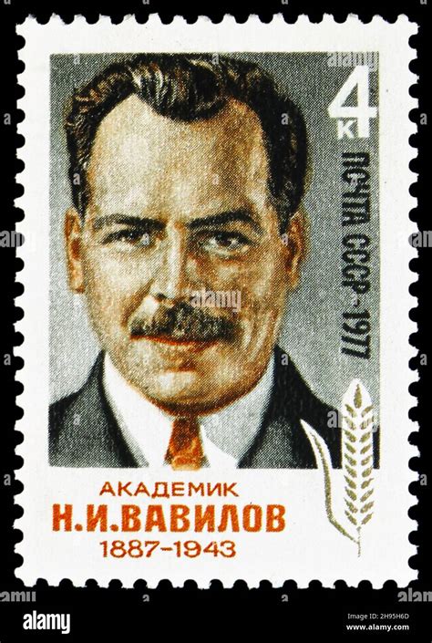 MOSCOW RUSSIA OCTOBER 24 2021 Postage Stamp Printed In Soviet