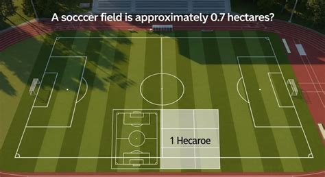 Quanto Hectares Tem Um Campo De Futebol - Quantos hectares tem um campo de futebol