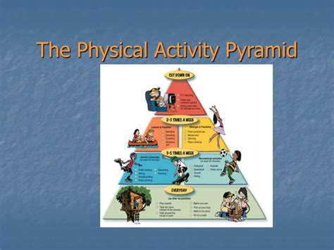 Blank Physical Activity Pyramid Worksheet