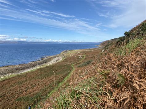 The Path Through The Bracken Christine McIntosh Flickr