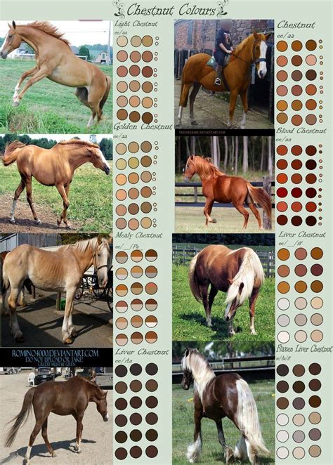 Complete guide to horse coat colors patterns faq s included – Artofit