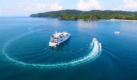 Coral Discoverer Luxury And Expedition Cruises