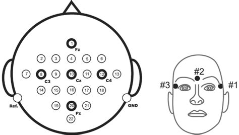 Montage of the BCI Competition 4 dataset [37] | Download Scientific Diagram