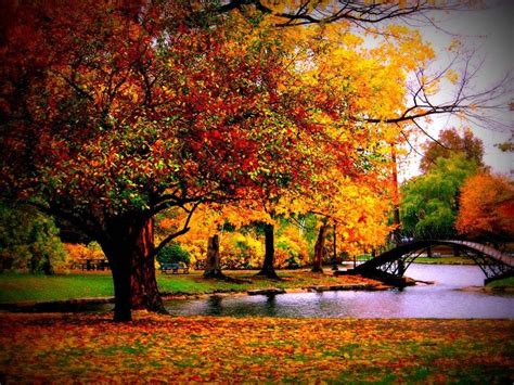 Free Download: Beautiful Fall Pictures