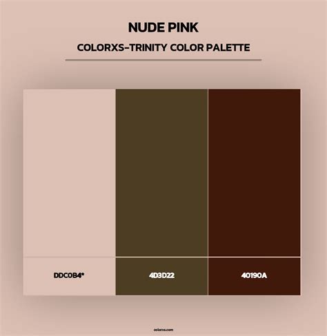 Nude Pink Color Palettes Colorxs