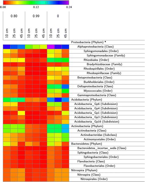 Heat Map Of The Composition Of Bacterial Communities Present In The